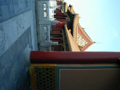 P6110444.JPG
