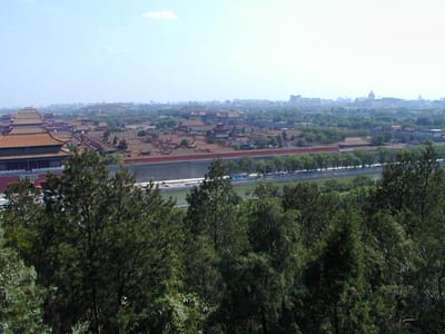 P6110474.JPG