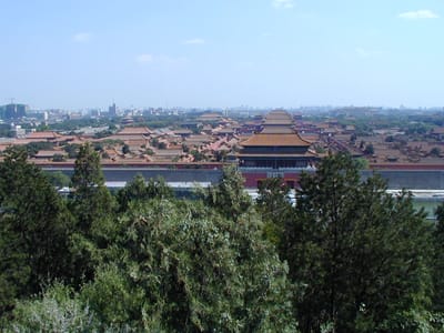 P6110475.JPG