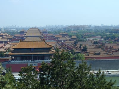 P6110480.JPG