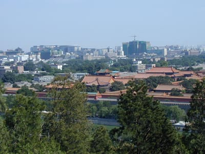 P6110483.JPG