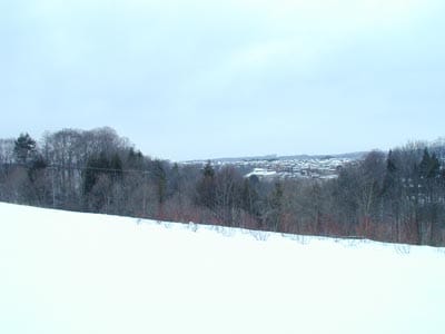 P1240786.JPG