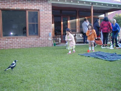 P4240740.JPG