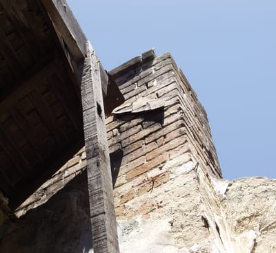PB260426.JPG