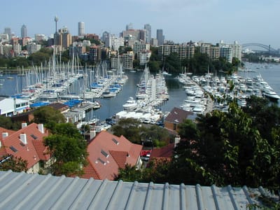 P1010479.JPG