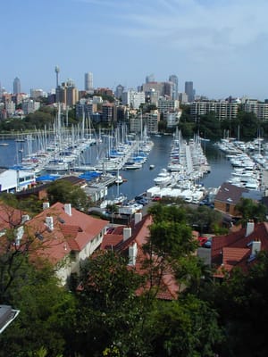 P1010483.JPG