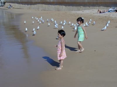 P4230676.JPG