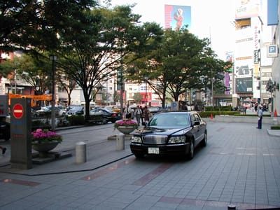 P6190722.JPG