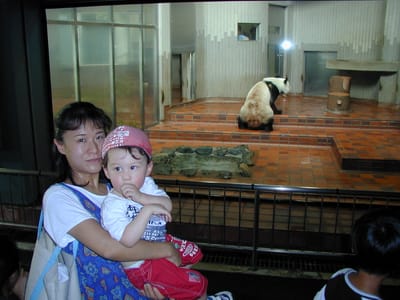 P1010036.JPG