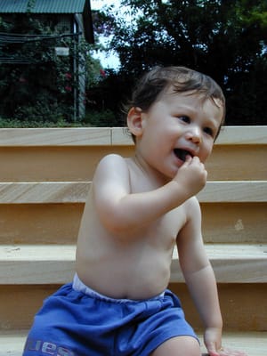 P1010537.JPG