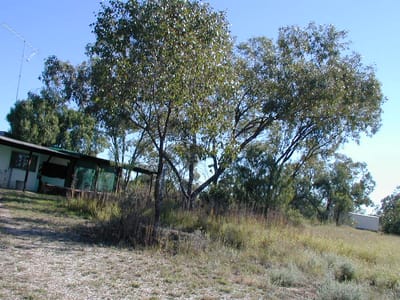 P1010024.JPG