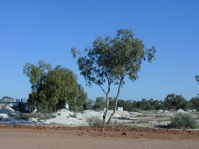 P1010026.JPG