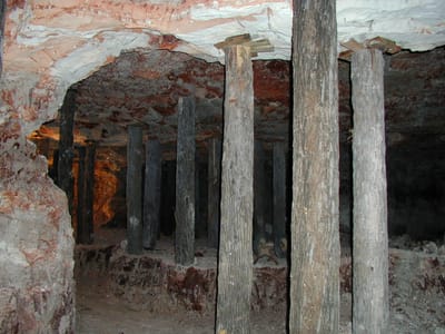 P1010037.JPG