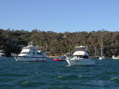 PA010516.JPG