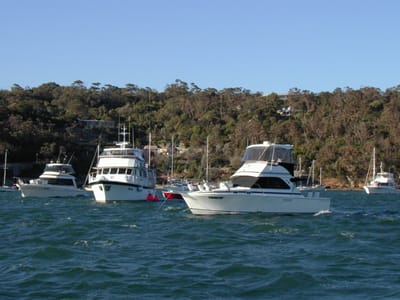 PA010524.JPG
