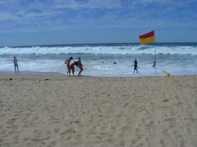 PA020591.JPG