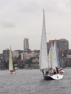 PB290610.JPG