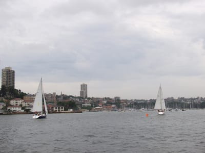 PB290615.JPG