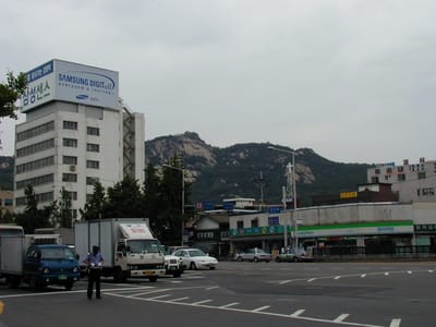 P6090329.JPG