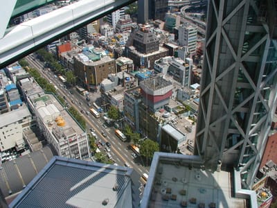 P6090341.JPG