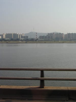P6110360.JPG
