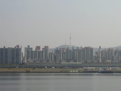 P6110361.JPG