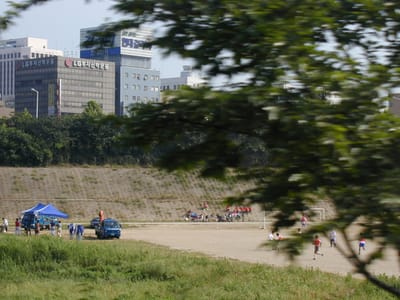P6110363.JPG