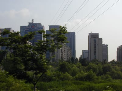 P6110364.JPG