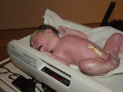 PC150754.JPG