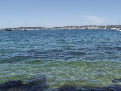 PC261031.JPG