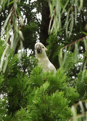 PC301073.JPG