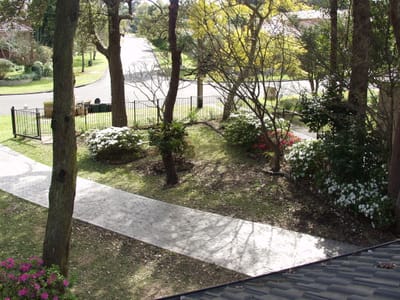 P9043526.JPG