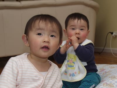 P8113427.JPG