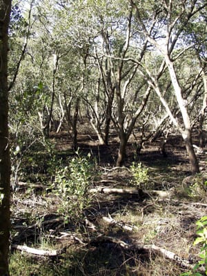 P9223593.JPG