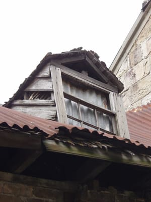 P2111390.JPG