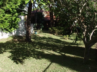 P4141963.JPG