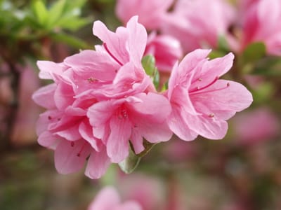 P8283486.JPG