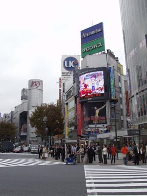 PB090032.JPG