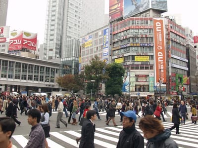 PB090033.JPG