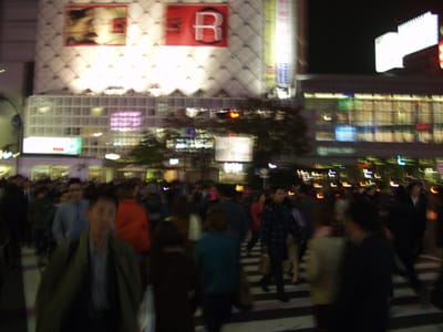 PB090058.JPG