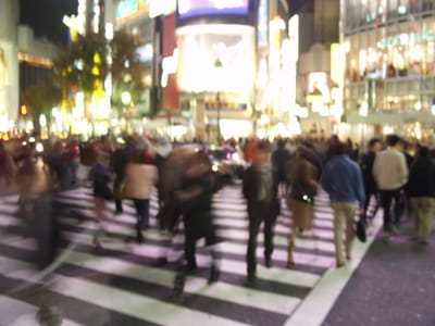 PB090059.JPG