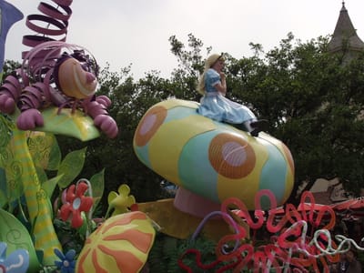 P6072620.JPG
