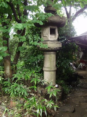 P6162869.JPG