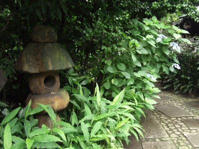 P6162870.JPG