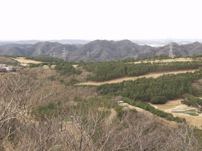 P3041713.JPG