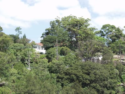 P2181608.JPG