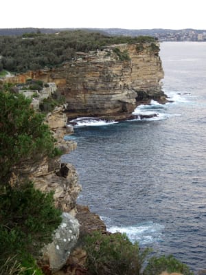 P5262393.JPG
