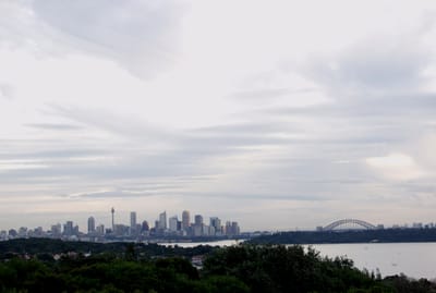 P5262394.JPG