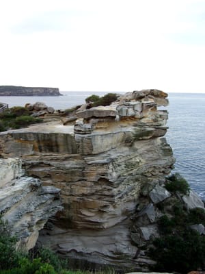 P5262397.JPG