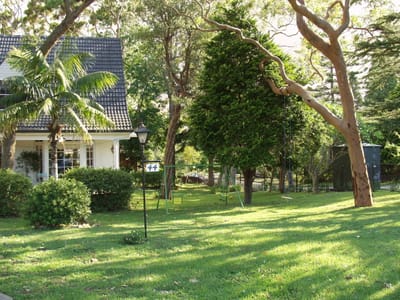 PC254177.JPG